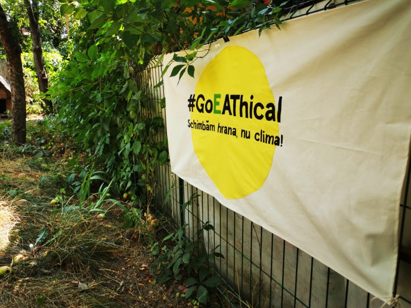 Tinerii din Târgu Mureș pot primi duminică sfaturi despre alimentația sănătoasă