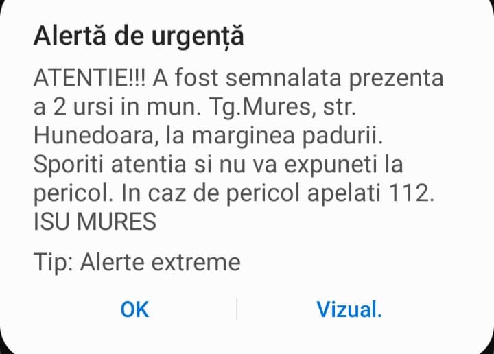 Prezența a doi urși, semnalată în municipiul Târgu Mureș Prezența a doi urși, semnalată în municipiul Târgu Mureș