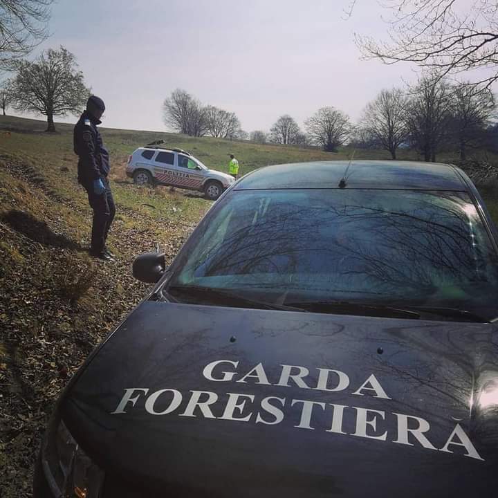Acţiuni de control la exploatări forestiere, depozite sau ocoale silvice