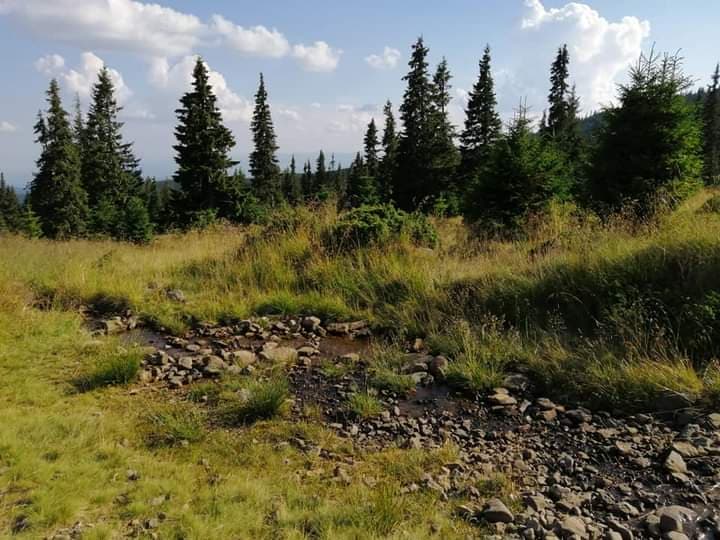 Vremea va fi caldã şi în general instabilã dupã-amiaza în zonele montane