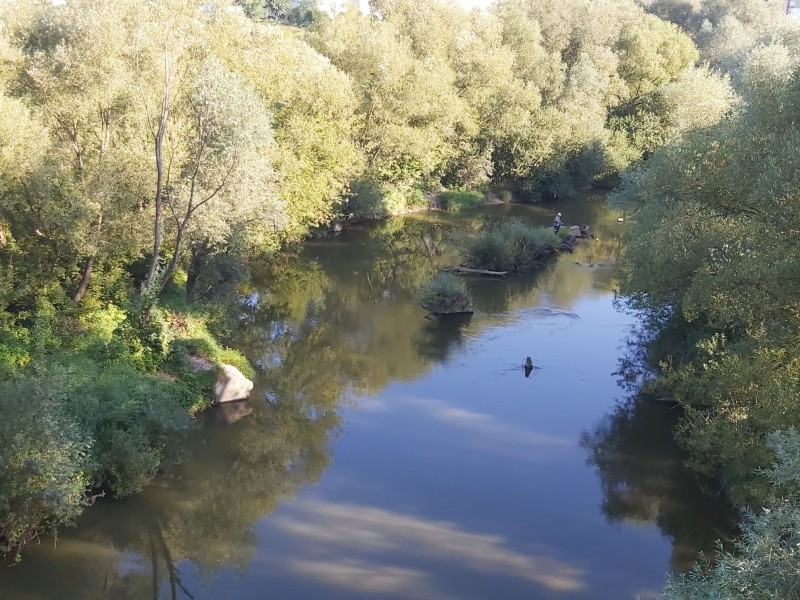 Permise de pescuit retrase în Mureş și amenzi de aproape 10.000 de lei Permise de pescuit retrase în Mureş și amenzi de aproape 10.000 de lei
