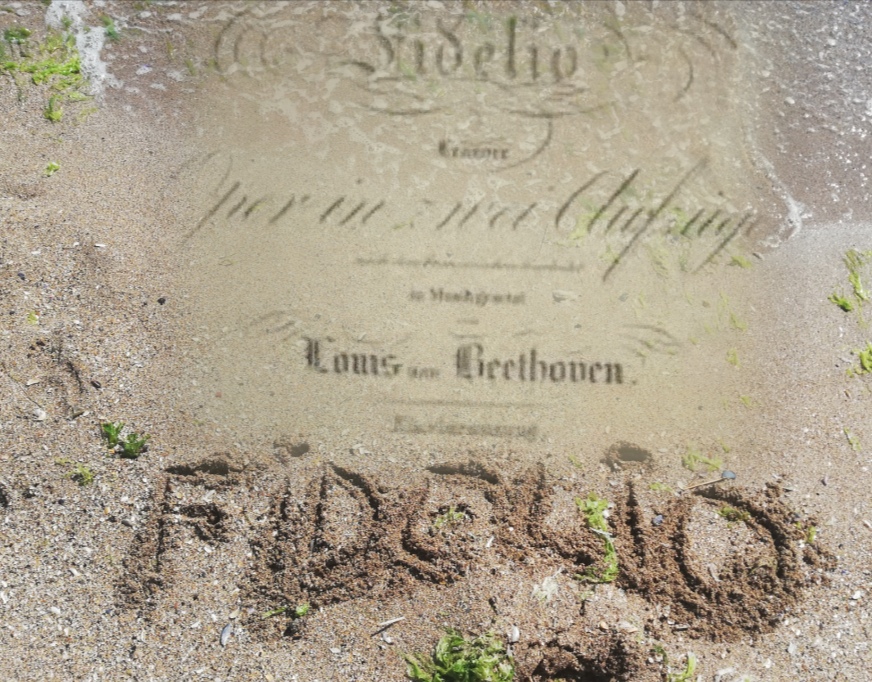 Beethoven forever, la Radio Tg.Mureş (17)