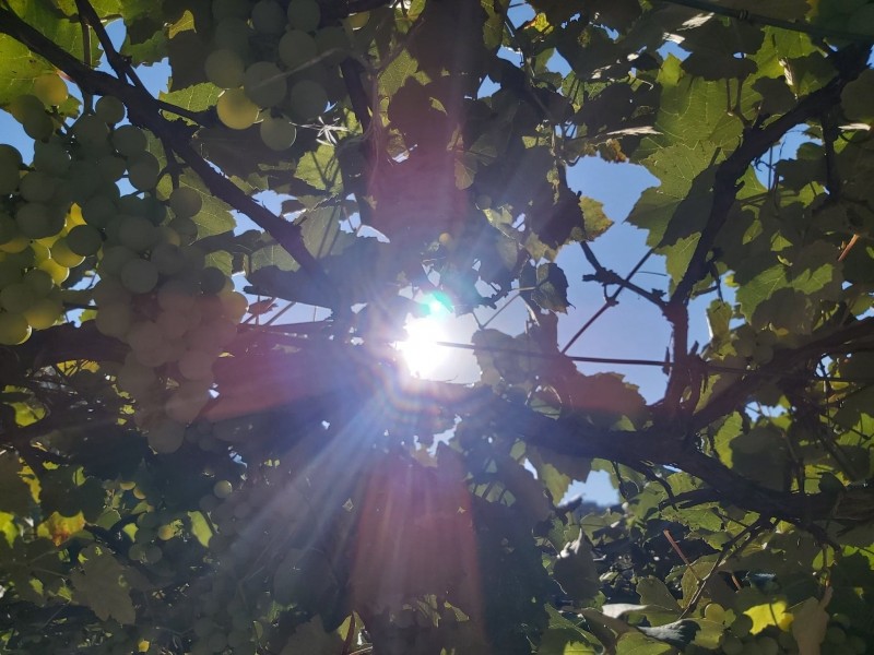 Cod galben de instabilitate atmosferică azi în nord şi est, caniculă în vest și sud