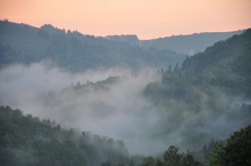Documentar Wild Carpathia prezentat la Valea Zălanului