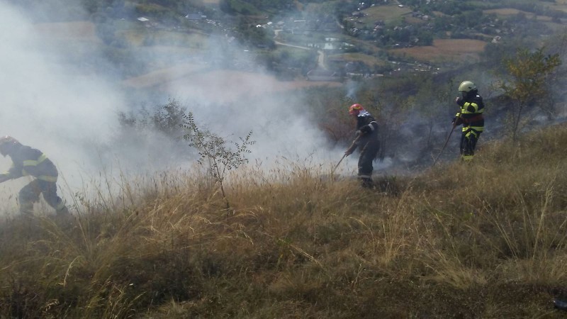 Peste 35 de hectare de vegetaţie uscată au ars pe Dealul Guşteriţei, de la marginea municipiului Sibiu Peste 35 de hectare de vegetaţie uscată au ars pe Dealul Guşteriţei, de la marginea municipiului Sibiu
