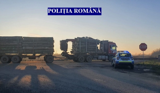 Polițiștii mureșeni efectuează 30 de percheziții domiciliare, în 5 județe, la persoane bănuite de ilegalități în domeniul silvic
