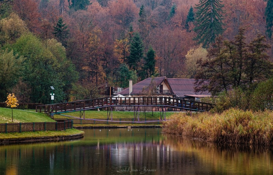 Cadavrul unei bătrâne, găsit în Lacul Noua din Brașov