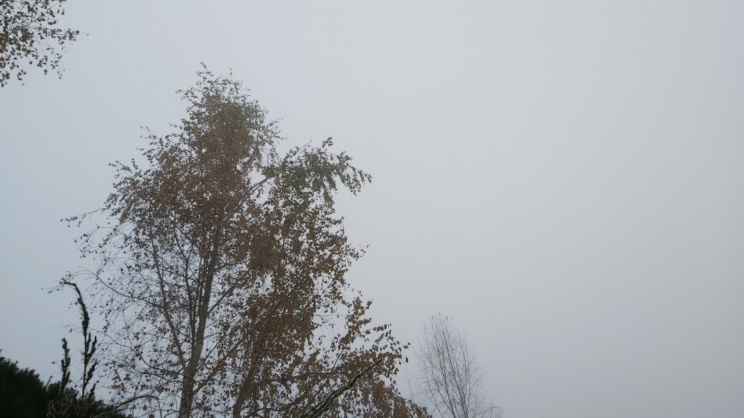 Localităţi din judeţul Sibiu, sub Cod portocaliu de vânt în orele următoare