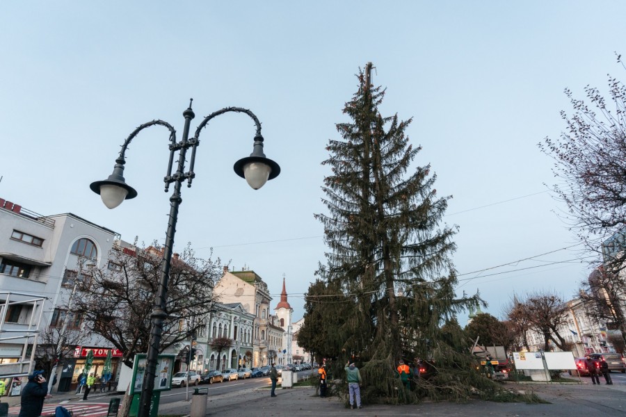 Sărbători de austeritate, la Târgu Mureș Sărbători de austeritate, la Târgu Mureș
