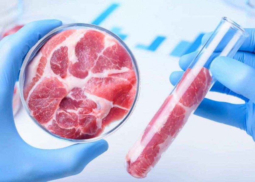 Nu peste mult timp, omenirea va consuma carne sintetică
