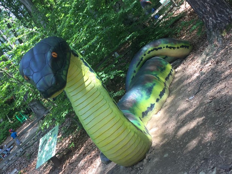 Cel mai mare șarpe descoperit pe pământ, la Dino Parc Râșnov
