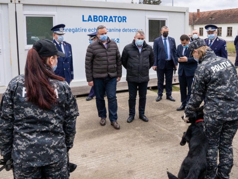 La Centrul Chinologic al Poliției Române de la Sibiu vor fi antrenați câini pentru detectarea persoanelor infectate cu coronavirus