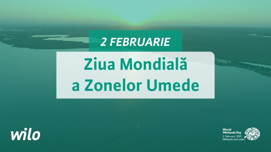 Biodiversitatea este sărbătorită, astăzi, prin Ziua Mondială a Zonelor Umede