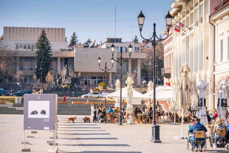CCI Covasna: 10 milioane de lei, bugetul programului COVID minimis destinat firmelor afectate de pandemie