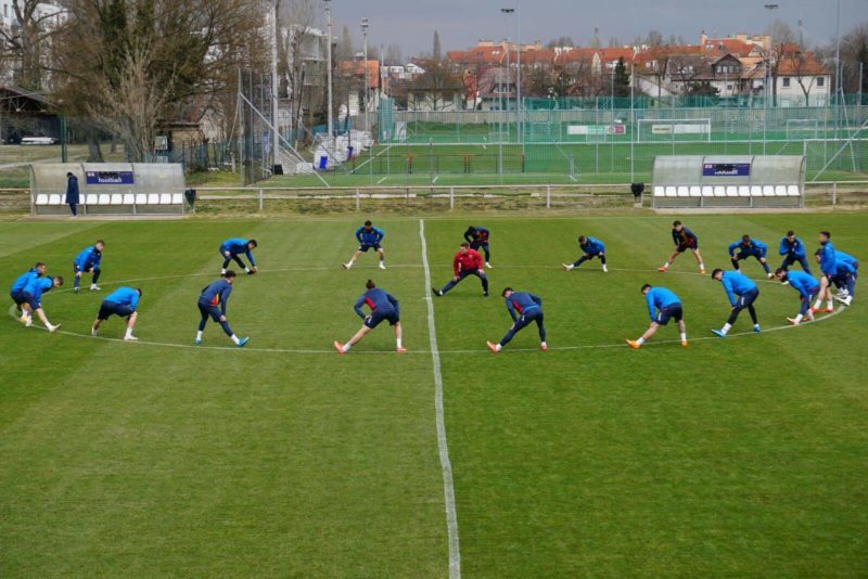 Teste negative pentru tricolori înaintea debutului la EURO