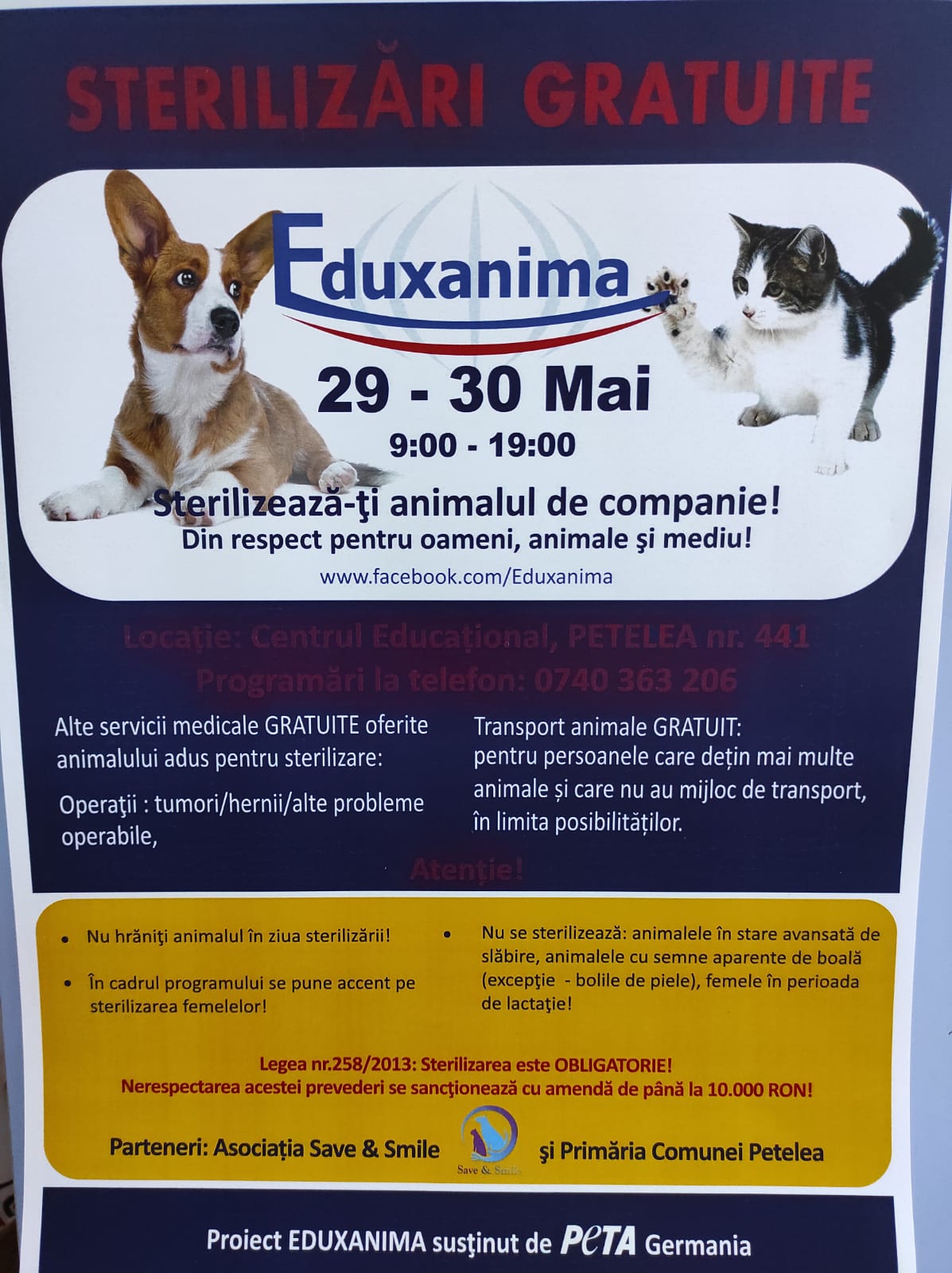 Campanie de sterilizări gratuite pentru câini și pisici, la Petelea, în județul Mureș