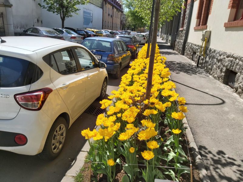 Sume importante pentru parcări alocate în bugetul municipiului Târgu Mureș