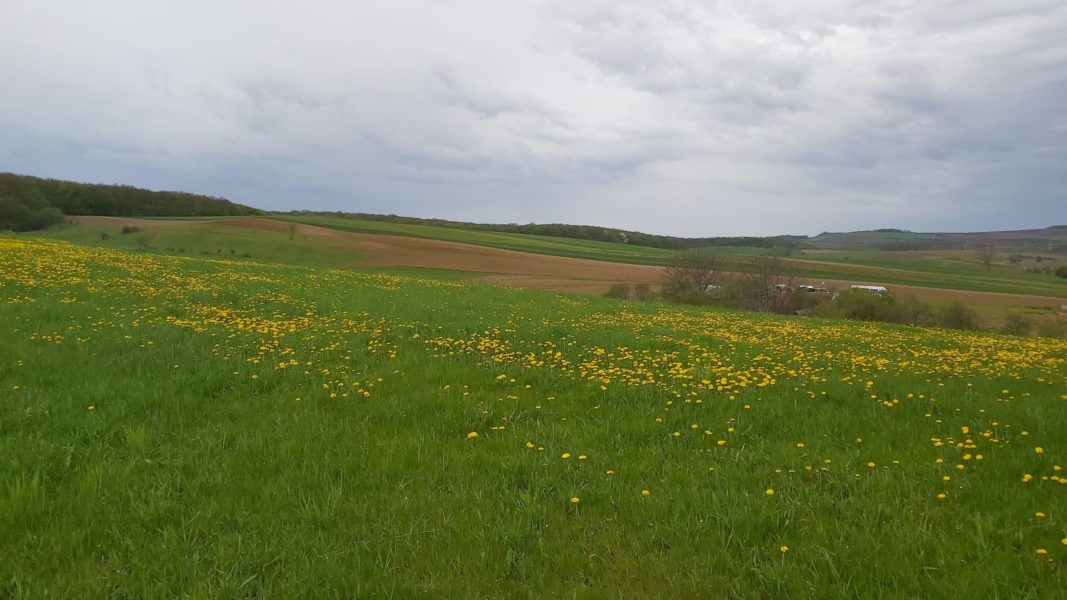 Vremea în Transilvania