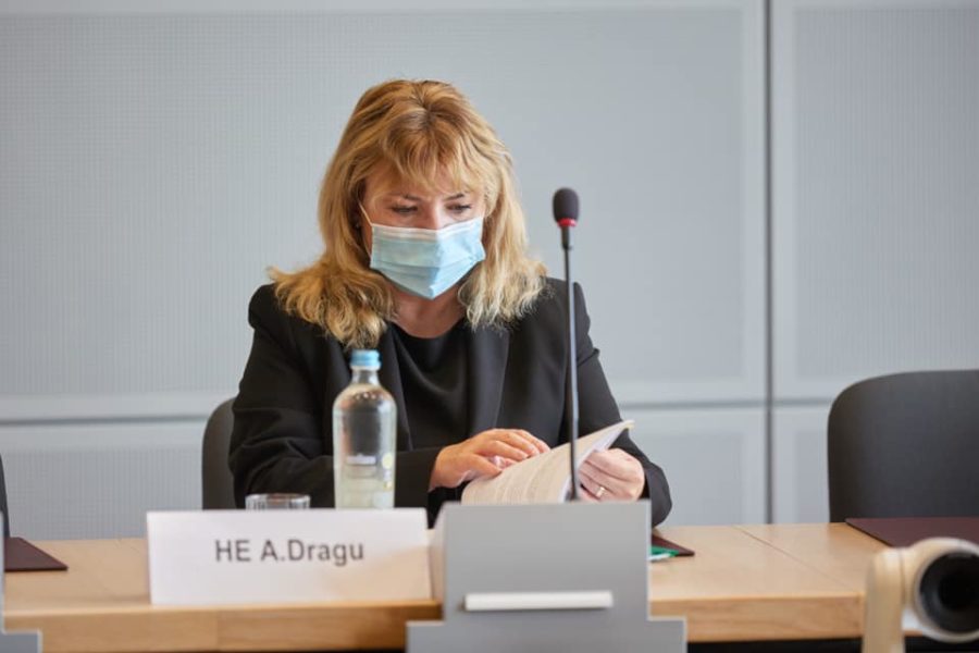 Senatul pregãtește clarificãri în legãturã cu revocarea din funcție a Avocatului Poporului