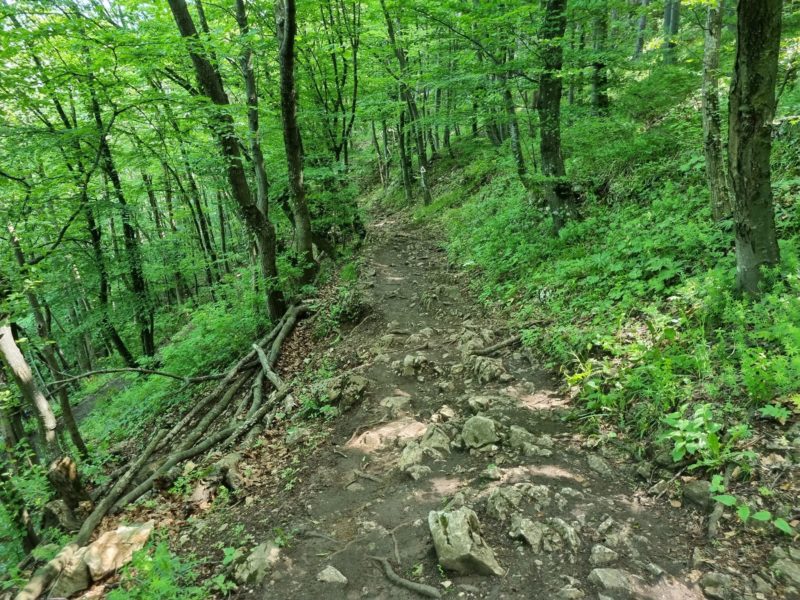Tânăr de 17 ani, rănit grav la cap în drumeţie pe Tâmpa Tânăr de 17 ani, rănit grav la cap în drumeţie pe Tâmpa