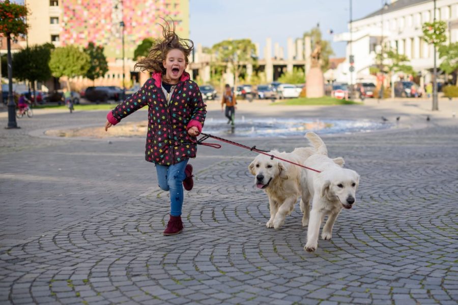 Copilării, cu Veronica Ilie – Patrula cățelușilor