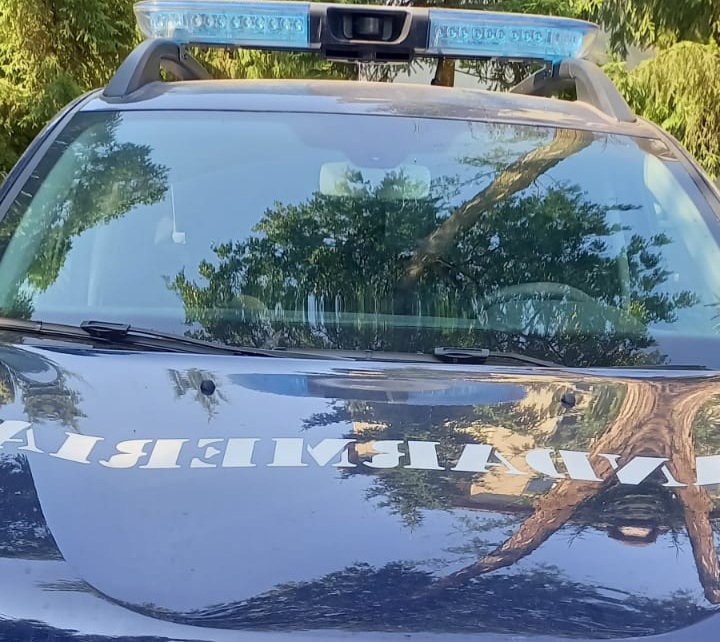 Acțiuni pe linie piscicolă ale jandarmilor mureșeni