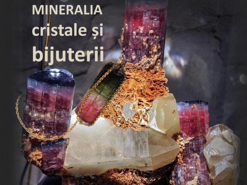 Chihlimbarul este vedeta expoziției ”Mineralia” din acest an