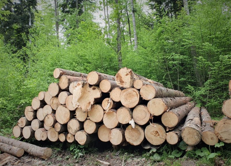 Harghita: Amendă de 10.000 lei aplicată unei firme care deţinea lemn fără documente legale