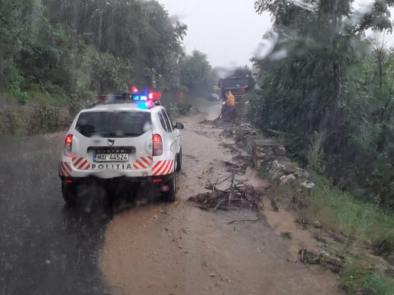 Trafic blocat de aluviuni şi copaci rupţi de ploaia torenţială în zona Moieciu-Fundata