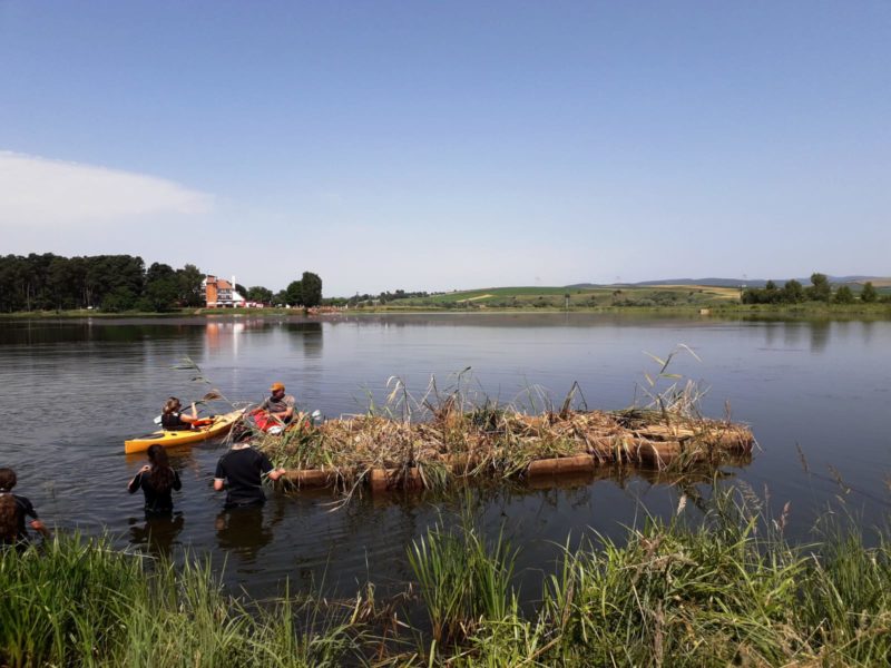Proiect-pilot pentru protejarea biodiversităţii: plauri pe mai multe lacuri din județul Covasna