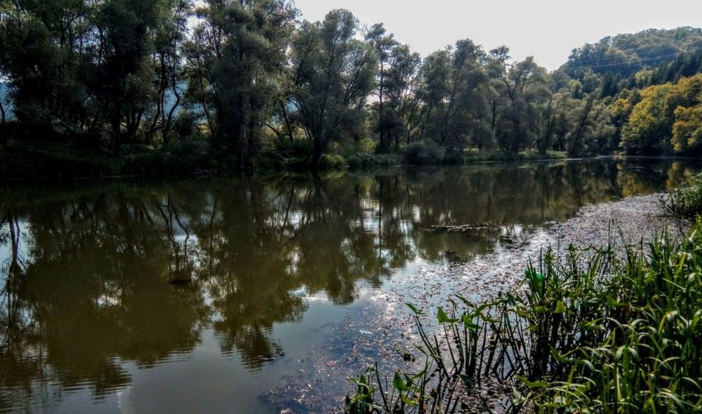 Insule plutitoare pentru protejarea biodiversităţii, amplasate în mai multe lacuri din judeţul Covasna