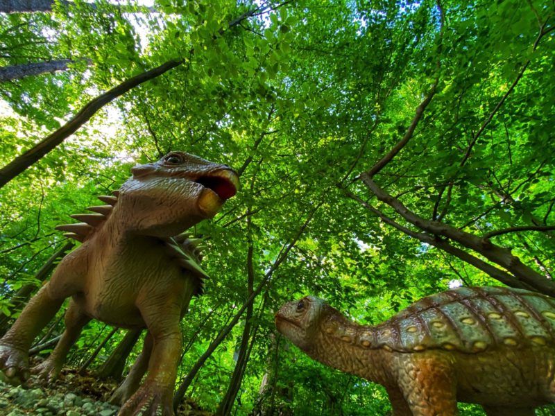Dino Parc Râşnov, pe locul 3 în topul parcurilor de distracţie din Europa