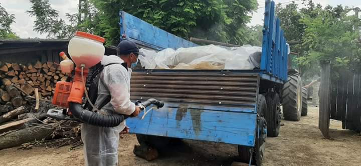 Focare de pestă porcină africană anihilate în județul Harghita