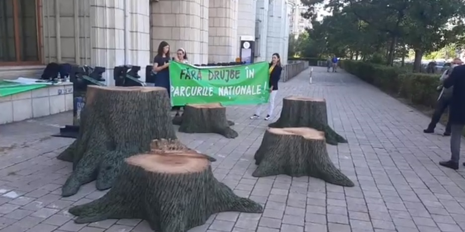 Acţiune de protest în faţa Ministerului Mediului pentru interzicerea exploatărilor forestiere în parcurile naţionale