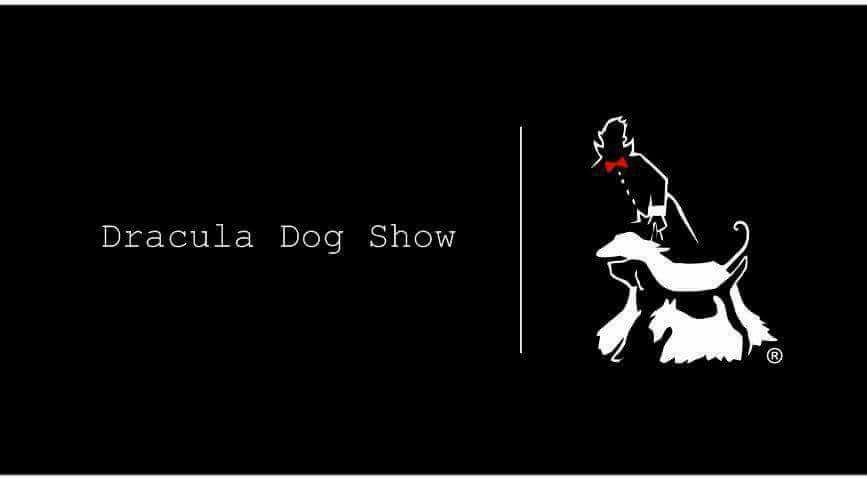 Participanți din 28 de țări la Concursul internațional de frumusețe canină de la Tg.Mureș