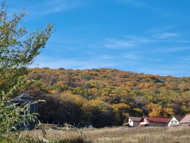 Vreme cãlduroasã mâine în cea mai mare parte a Transilvaniei Vreme cãlduroasã mâine în cea mai mare parte a Transilvaniei