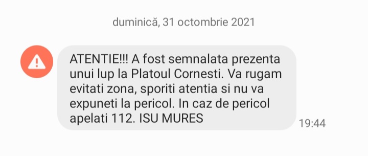 Locuitorii din Târgu Mureș au fost avertizați despre prezența unui lup în localitate