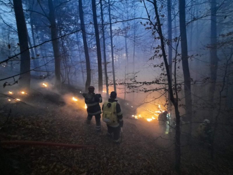 De patru zile zeci de pompieri covăsneni se luptă cu incendiul de pădure din Oituz