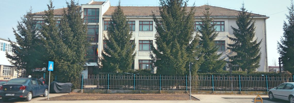 O școală din Covasna încearcă sa ajute la integrarea copiilor cu probleme speciale