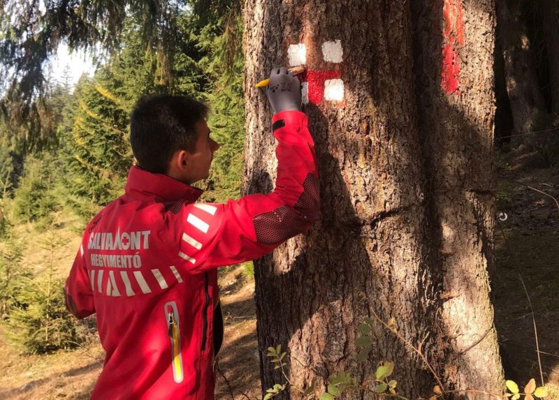 Traseele și refugiile montane din județul Mureș își așteaptă turiștii Traseele și refugiile montane din județul Mureș își așteaptă turiștii
