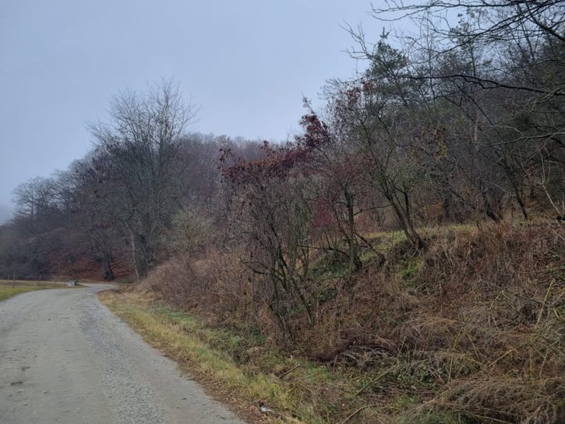 Vremea în Transilvania