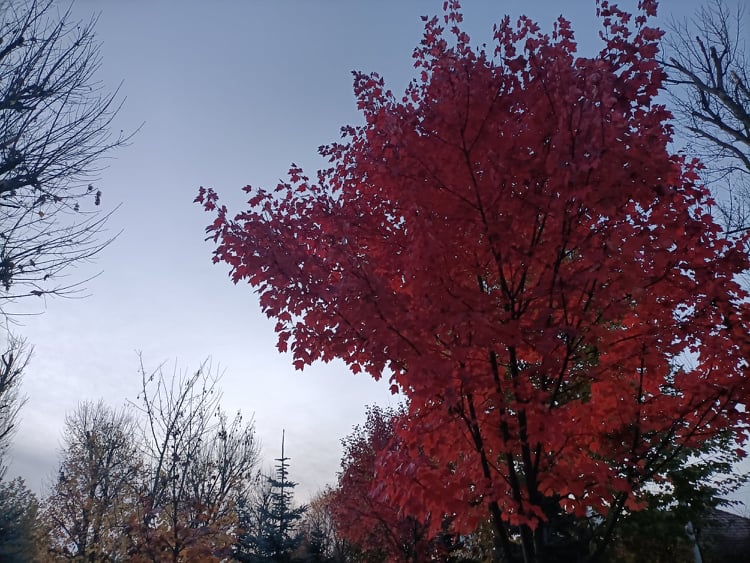 Vremea se menține deosebit de caldă, în Transilvania