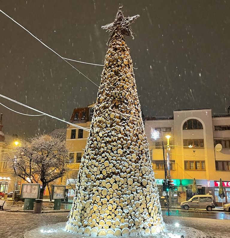 Bradul caritativ din centrul orașului Târgu Mureș va fi donat ca lemn de foc pentru nevoiași