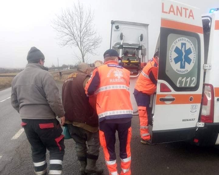 Un cioban harghitean a fost grav rănit de un urs