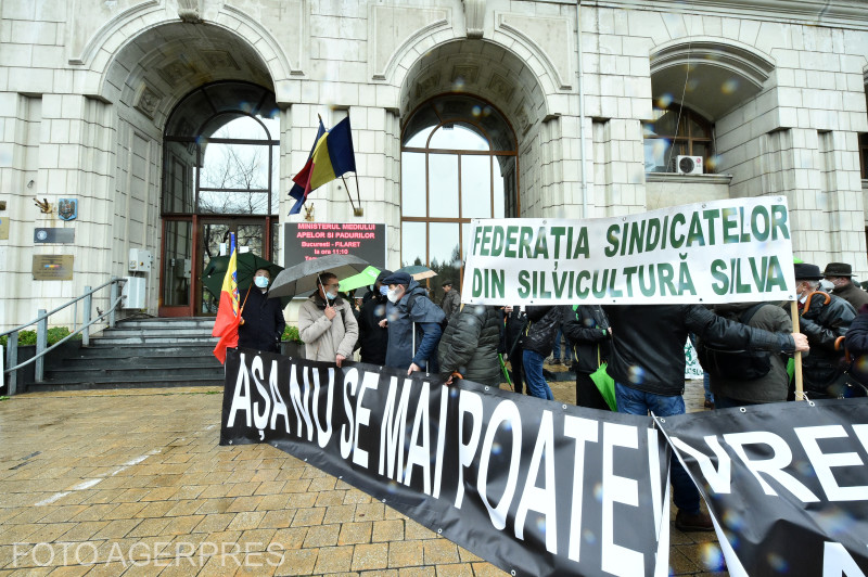 Silvicultorii își cer astăzi drepturile în stradă