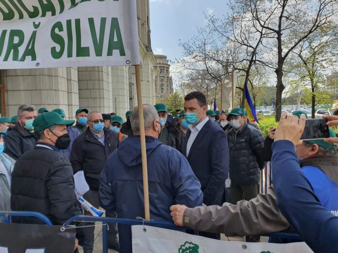 Sindicaliştii din silvicultură pichetează azi sediul Ministerului Mediului