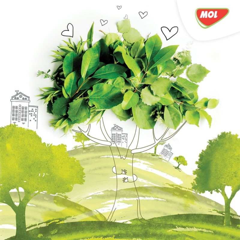 Fonduri de până la 50.000 de lei pentru arii naturale protejate