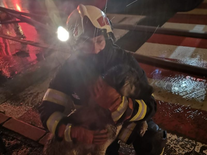 Un incendiu puternic a izbucnit la Râşnov în prima zi a anului
