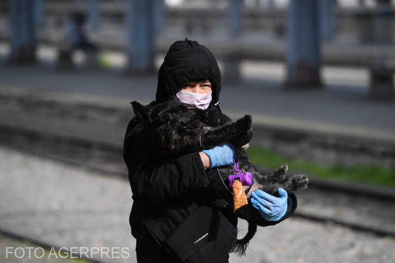 România este în ultima zi de stare de alertă sanitară, impusă de autorităţi în contextul pandemiei