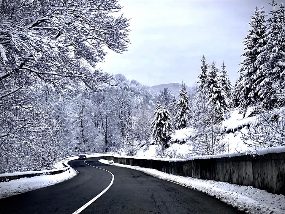 Ninge abundent în centrul țării!